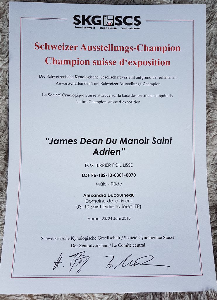 De La Rivière Landelot - Multi CH James devient Champion Suisse